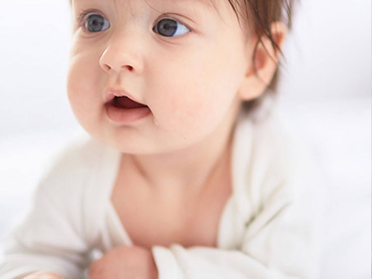 Mustela